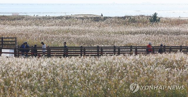 부산 다대포의 가을풍경
