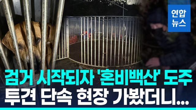 [영상] "도망가지 마!"…전남 화순 투견판서 40여명 검거 - 2