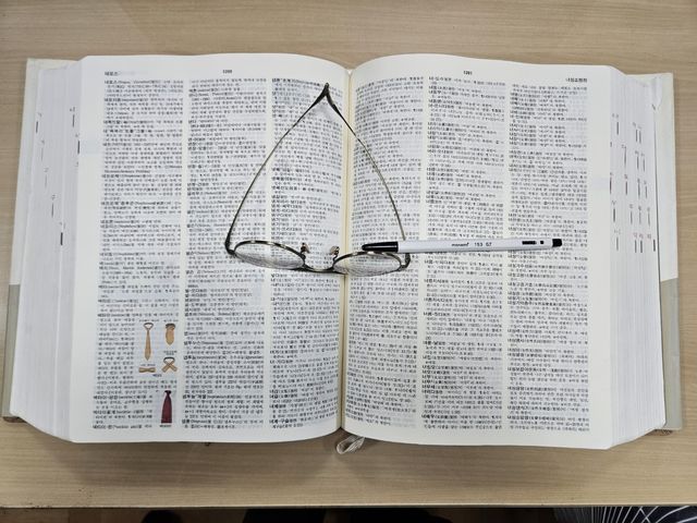 표준국어대사전