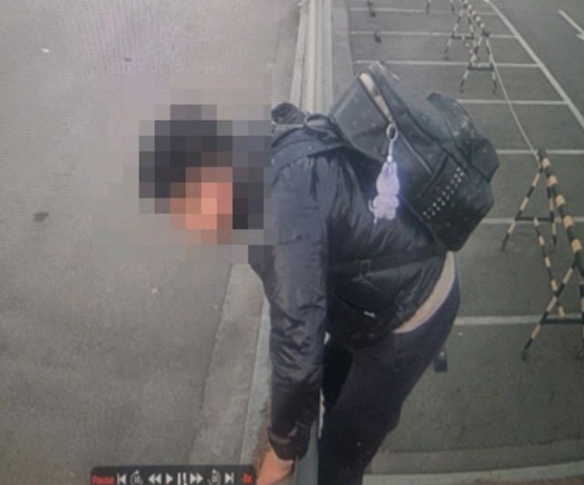 월담하는 중국인