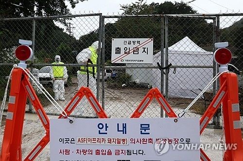 [연합뉴스 자료사진]