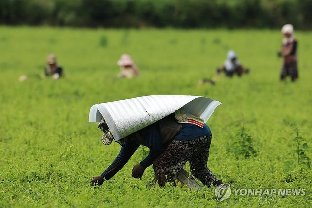 9월 폭염에 맞서는 방법