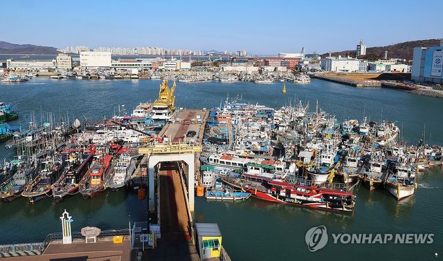 기상악화로 발 묶인 어선들