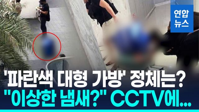 [영상] 베트남서 대형가방 속 시신 '충격'…CCTV 찍힌 한국인 2명 체포 - 2