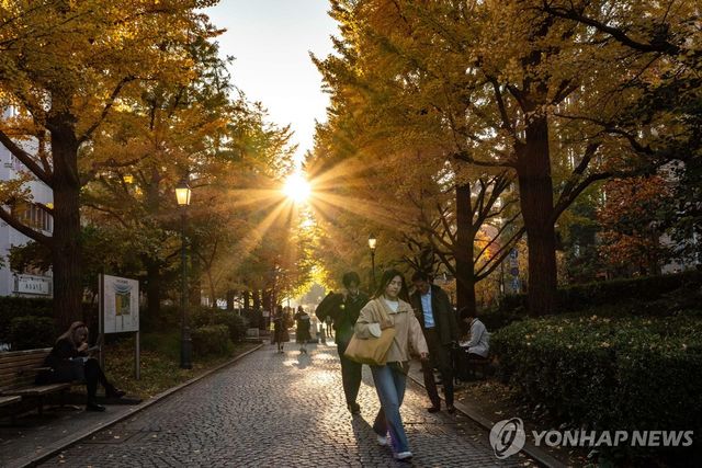 일본 도쿄 거리