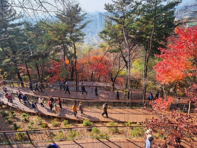 남산하늘숲길을 오르는 시민들