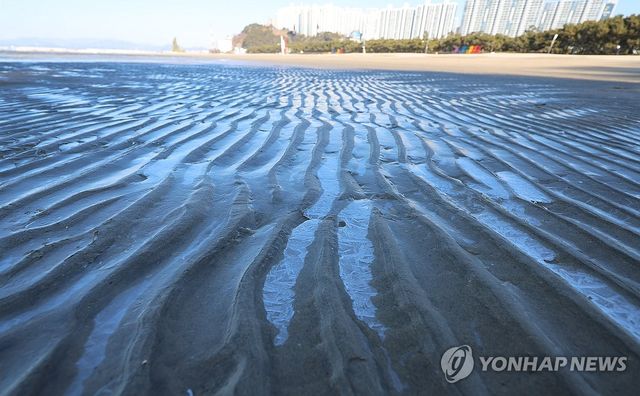 부산 다대포해수욕장, 살얼음