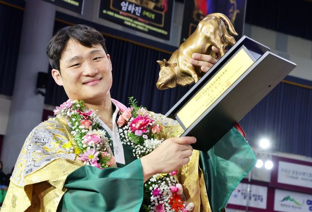 금강장사 김기수