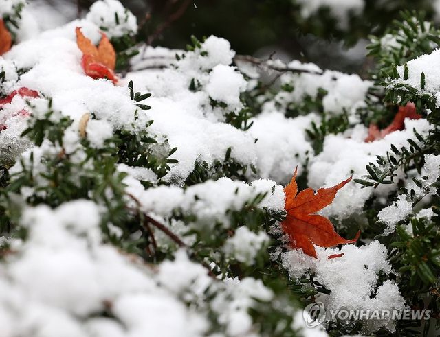 잘 가라 가을아