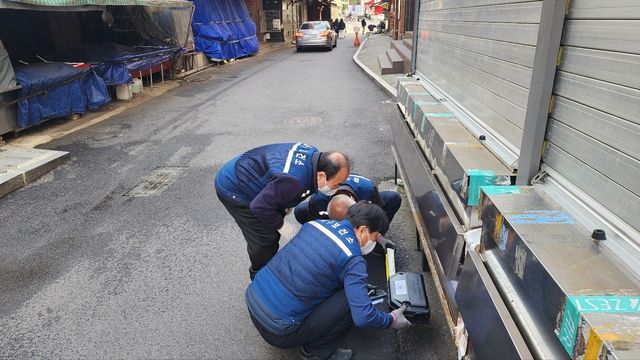 쥐 방역활동 모습