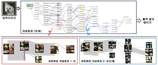 최재석 교수 연구팀이 시각화한 개념회로
