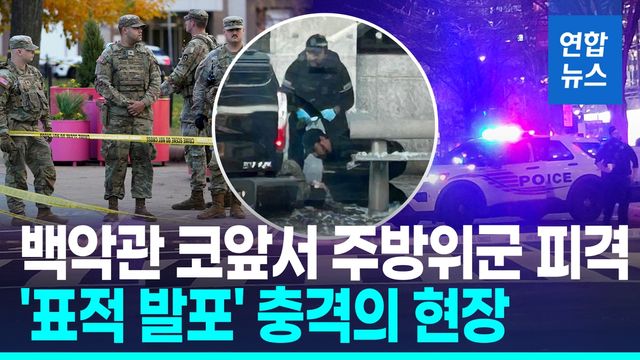 [영상] 백악관 코앞서 주방위군 2명 피격…"순찰대원 겨냥한 표적 공격" - 2