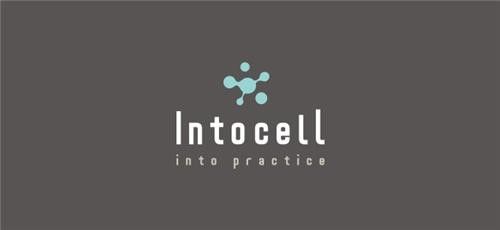 인투셀