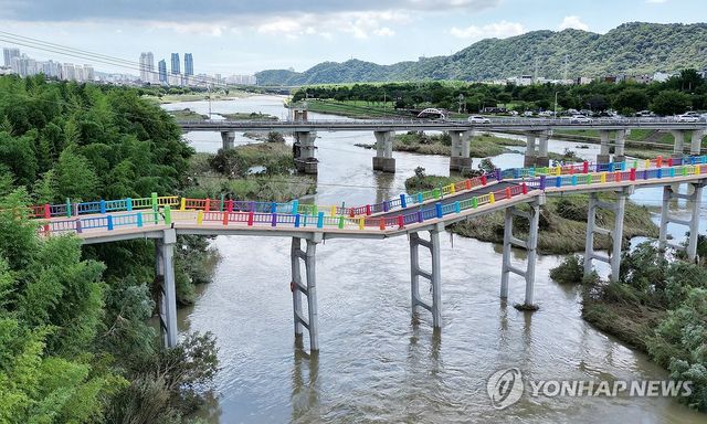 내려앉은 울산 구 삼호교…출입 통제