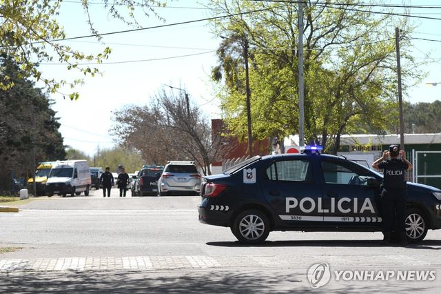 경찰(기사와 직접적인 관계없음)