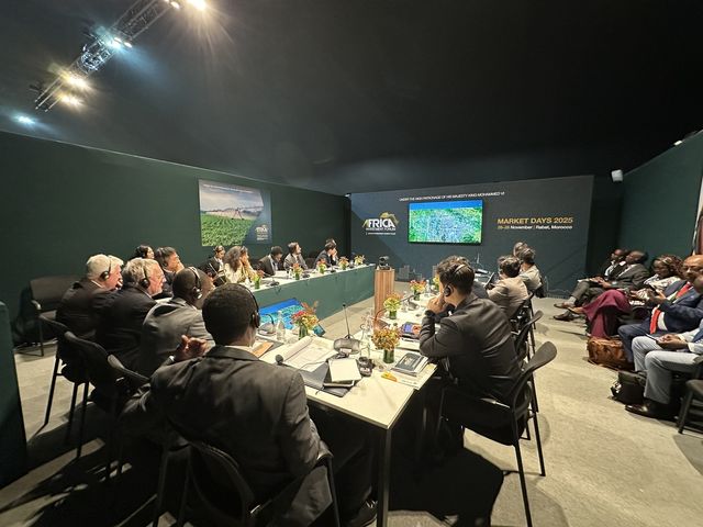 포스코인터내셔널 탄자니아 마헨게 광산 투자유치 설명회 