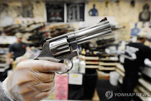 .357 스미스앤드웨슨 리볼버