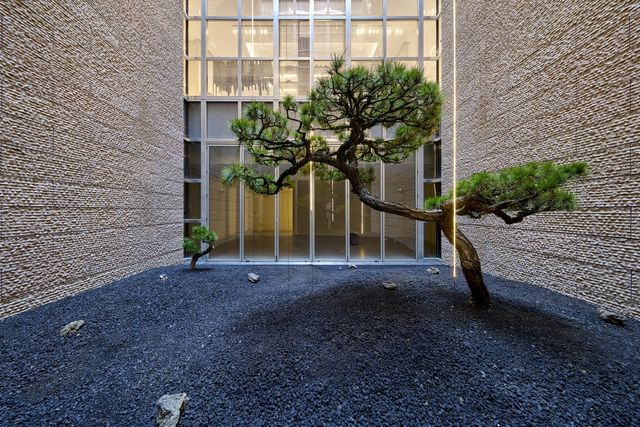 다니엘 스티그만 만그라네 작 '번개치는 정원'