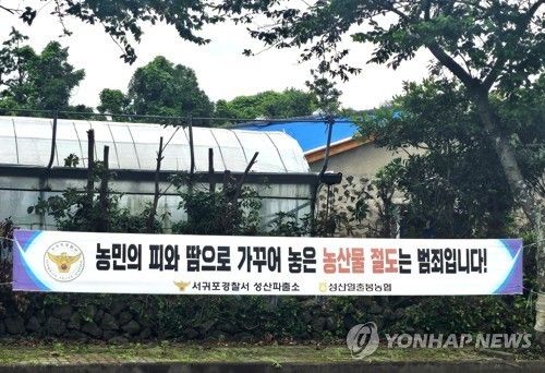 제주 서귀포시 성산읍 도로에 경찰이 내건 '농산물 절도는 범죄' 플래카드 [연합뉴스 자료사진]
