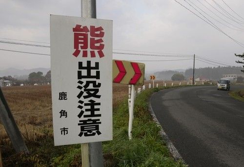 곰 출몰 주의 간판