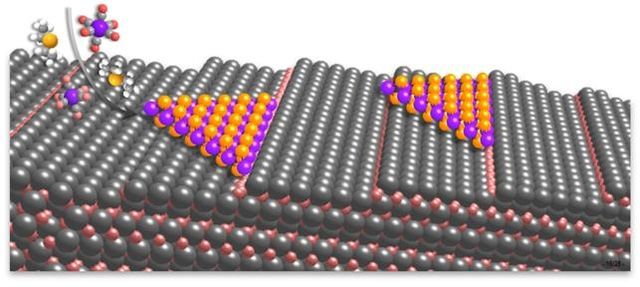 사파이어 기판 위 반도체 소재 결정 증착 모식도