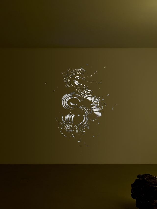 다니엘 스티그만 만그라네 작 '물고기와 입맞추는 달'