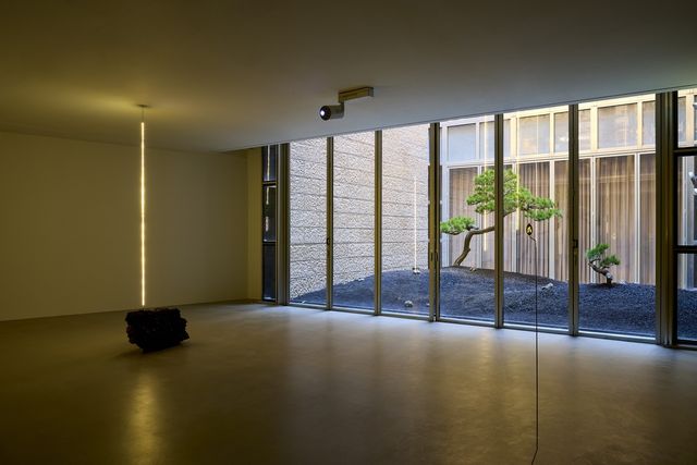 다니엘 스티그만 만그라네 개인전 '산과 친구되기' 전경