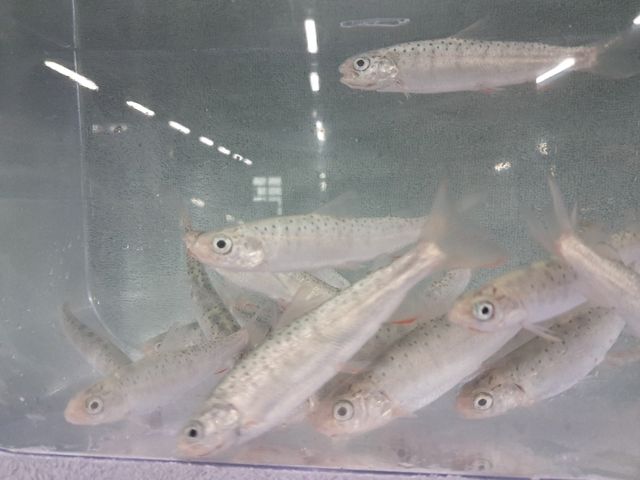 [경북도 제공. 재판매 및 DB 금지]