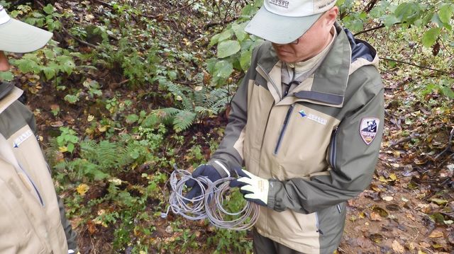 단속하는 오대산국립공원