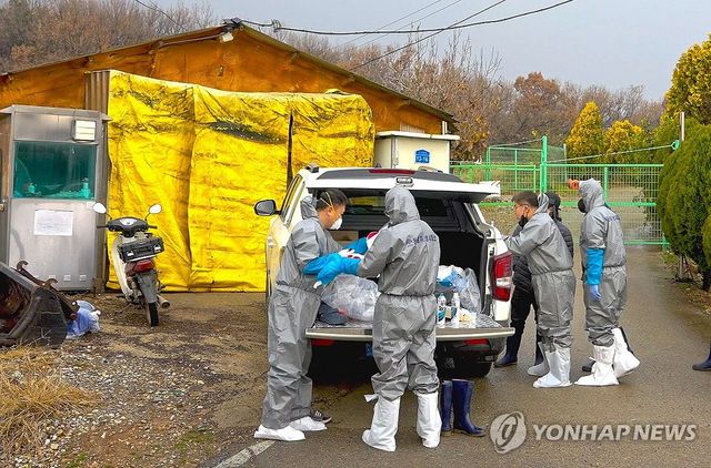 충남 첫 ASF 발생 당진 돼지농장 긴급 방역
