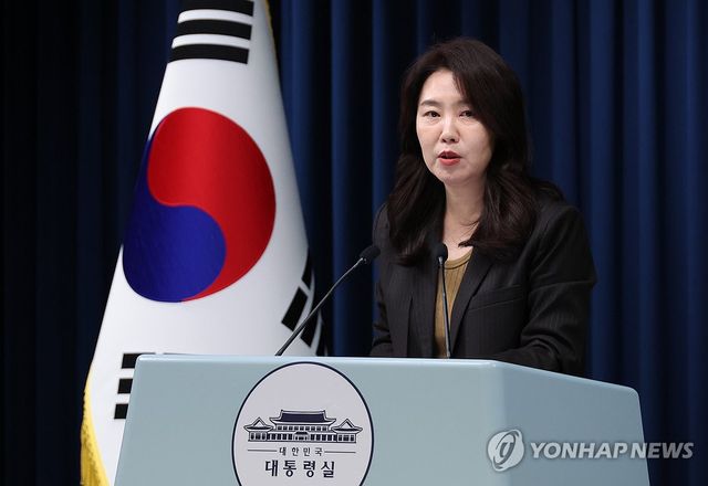 브리핑하는 강유정 대변인