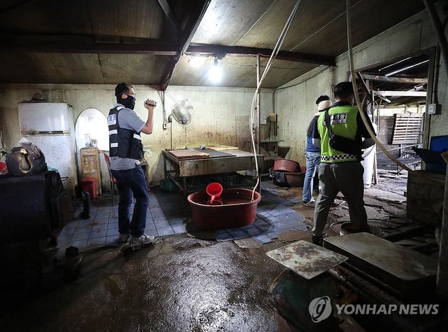 불법 도축 현장 조사하는 경찰