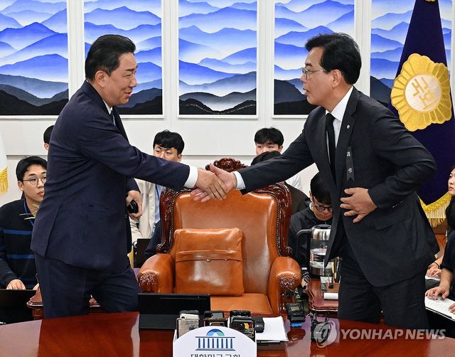 악수하는 여야 원내대표