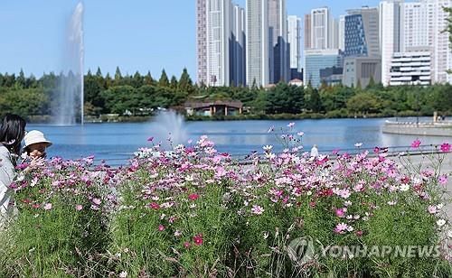 일산의 슬픔…'언제쯤 분당만큼 오를까' 
