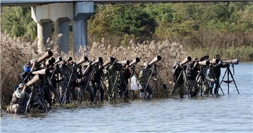 강릉 남대천의 대포부대