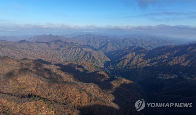 점차 겨울 산맥으로 변해가는 백두대간