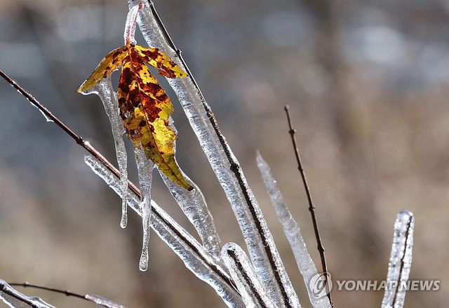 겨울에 갇힌 가을