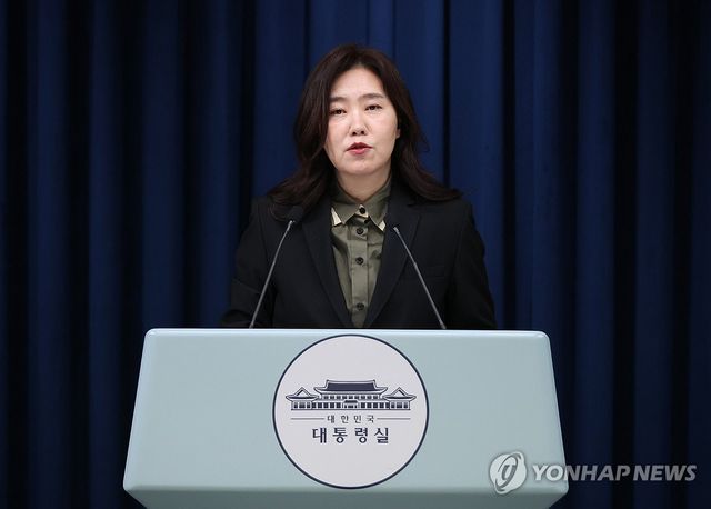 브리핑하는 강유정 대변인