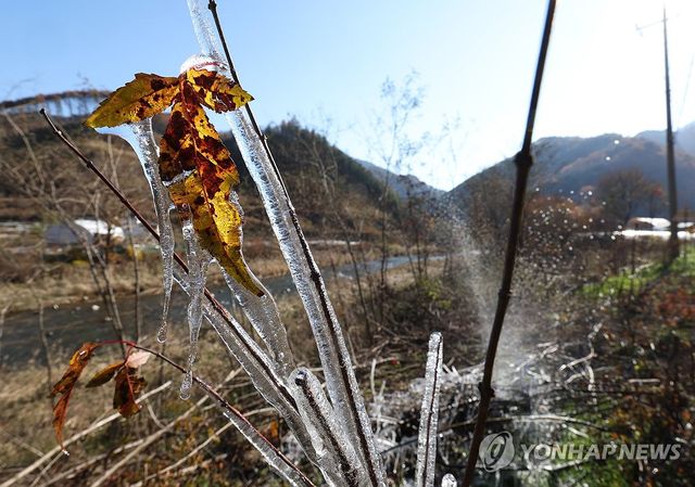 겨울에 갇힌 가을