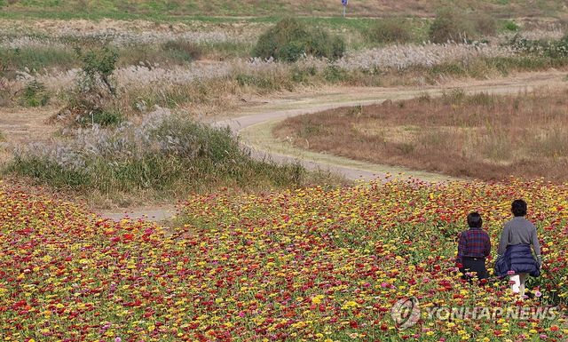 가을 즐기는 시민들
