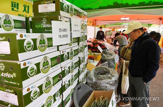 2025 청춘양구 펀치볼 시래기사과축제 개막