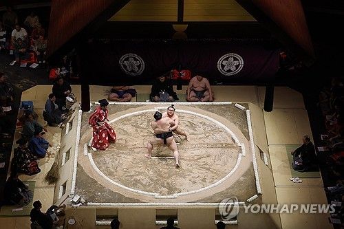 도효 위에서 싸우는 스모 선수들 