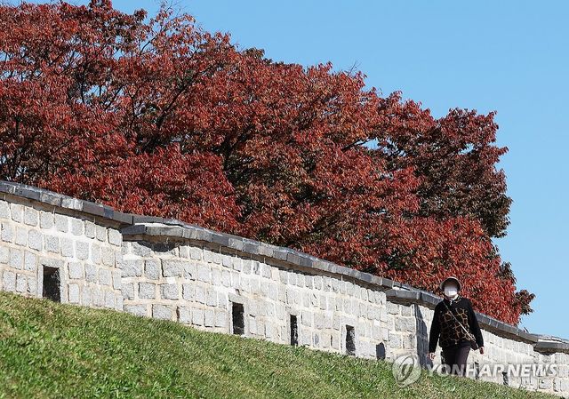 파란 하늘과 단풍