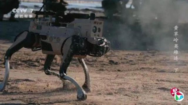 중국 늑대 로봇