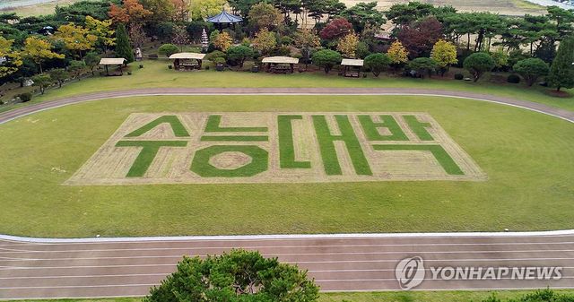 학교 운동장 잔디에 새긴 '수능대박'