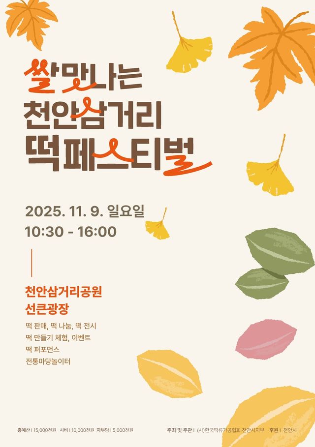 페스티벌 홍보문