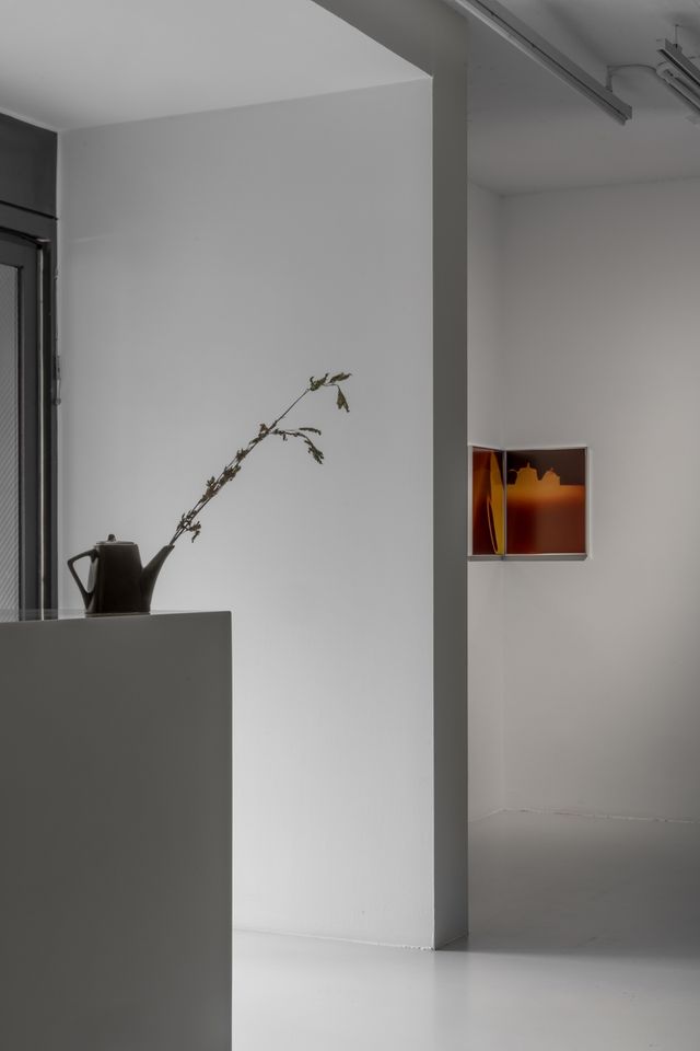 니키타 게일 개인전 '99개의 꿈' 전시 전경