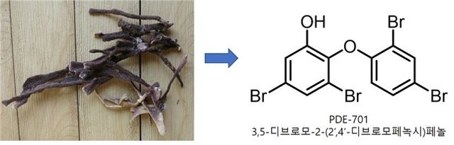 열대 해면과 추출한 해양천연물 분자구조