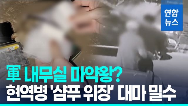 [영상] 마약에 무너진 軍 기강…해군 현역병이 대마 밀수 - 2