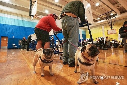 투표하는 뉴욕 시민들